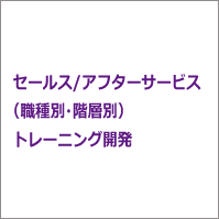 セールス/アフターサービス（職種別・階層別）トレーニング開発